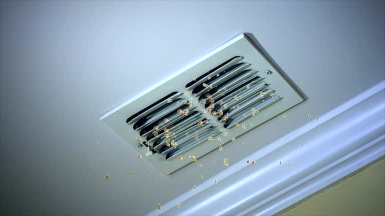 Best Air Vent Cleaning Services  in Vineyard, CA